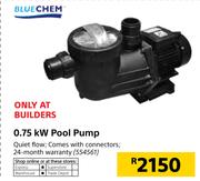 Bluechem 0.75 kW Pool Pump