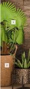 Artifial Fan Palm Tree 1.3m