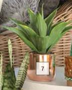 Flora Select Artificial Agave In Ceramic Pot