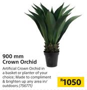 900mm Crown Orchid