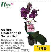 Flora 90mm Phalaenopsis 2 Stem Pot 