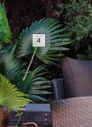 Fan Palm Tree 1.3m