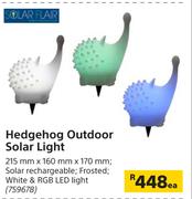 Solar Flair Hedgehog Outdoor Solar Light-215mm x 160mm x 170mm Each