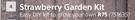 Strawberry Garden Kit