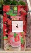 Strawberry Garden Kit