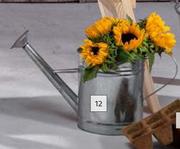 Galvanised Steel Watering Can-4.5L