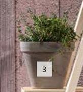 Round Basalt Terracotta Pot (Grey)-135mm (h) x 155mm (dia)