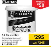 A.Shak 5Ltr Plaster Key