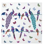 Birds/Butterfly Canvas-55cm x 55cm