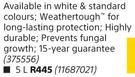 Plascon Micatex-5L