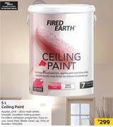 Fired Earth Ceiling Paint-5Ltr