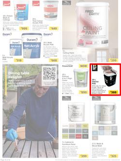 Builders : Paint Catalogue (19 October - 24 December 2021), page 14