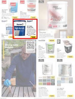 Builders : Paint Catalogue (19 October - 24 December 2021), page 14