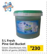 Ultra Clean 5L Fresh Pine Gel Bucket