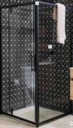 Pivot Shower Door