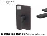 Lusso Magra Tap Range Concealed Shower Mixer