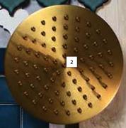 Lusso Roya Shower Rose (Gold)