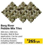 Berg River Pebble Mix Tiles-300mm x 300mm Per pk