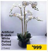 Artificial 5 Stalk White Potted Orchid