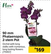 Flora 90mm Phakaenopsis 2 Stem Pot