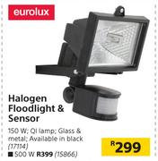 Eurolux 500 W Halogen Floodlight & Sensor