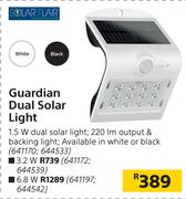 Solar Flair 6.8 W Guardian Dual Solar Light