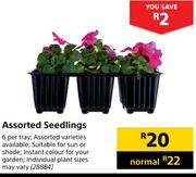 Assorted Seedlings