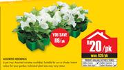 Assorted Seedlings-Per Pack