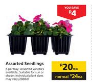 Assorted Seedlings 28884-Each