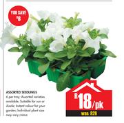 Assorted Seedlings-Per pack