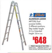 Gravity Aluminium Ladder