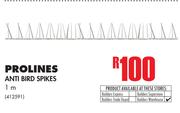 Prolines Anti Bird Spikes (1m)