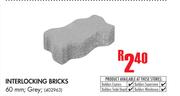 Interlocking 60mm Grey Bricks