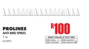 Prolines 1m Anti Bird Spikes