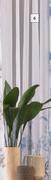 DH Sheer Eyelet Curtain-2.6m x 2.5m