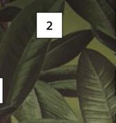 Fired Earth Jungle Leaves Wallpaper (Green)-530mm x 10m