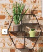 Shelmate Hexagonal Wall Shelf-400mm (l) x 400mm (w) x 100mm (h)