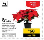 14cm Poinsettia 