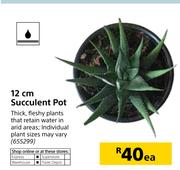 12cm Succulent Pot-Each