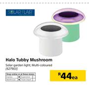 Solar Flair Halo Tubby Mushroom-Each