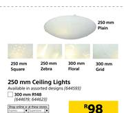 250mm Ceiling Lights