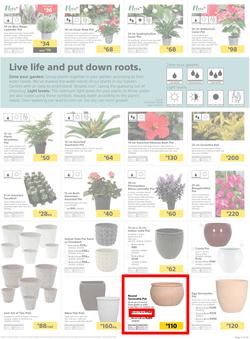 Builders KZN & East London : Live Life Colourfully (20 Nov - 30 Dec 2018), page 5