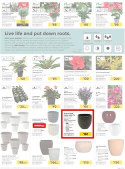 Builders KZN & East London : Live Life Colourfully (20 Nov - 30 Dec 2018), page 5