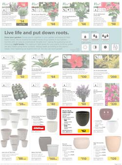 Builders KZN & East London : Live Life Colourfully (20 Nov - 30 Dec 2018), page 5