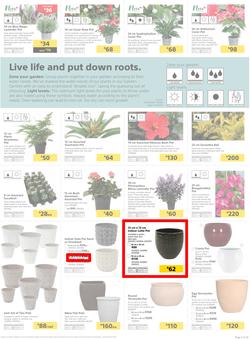 Builders KZN & East London : Live Life Colourfully (20 Nov - 30 Dec 2018), page 5