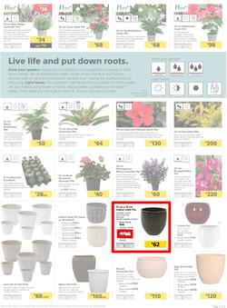 Builders KZN & East London : Live Life Colourfully (20 Nov - 30 Dec 2018), page 5