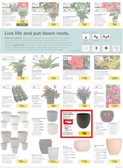 Builders KZN & East London : Live Life Colourfully (20 Nov - 30 Dec 2018), page 5