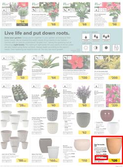 Builders KZN & East London : Live Life Colourfully (20 Nov - 30 Dec 2018), page 5