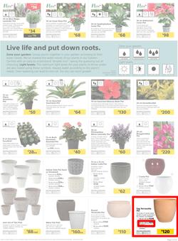 Builders KZN & East London : Live Life Colourfully (20 Nov - 30 Dec 2018), page 5