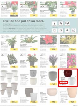 Builders KZN & East London : Live Life Colourfully (20 Nov - 30 Dec 2018), page 5